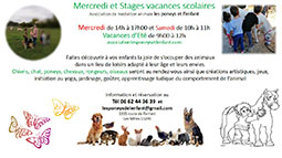 affichette stages vacances scolaires et mercredi
