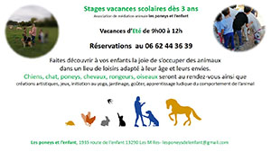 affichette stage vacances scolaires dès 3 ans